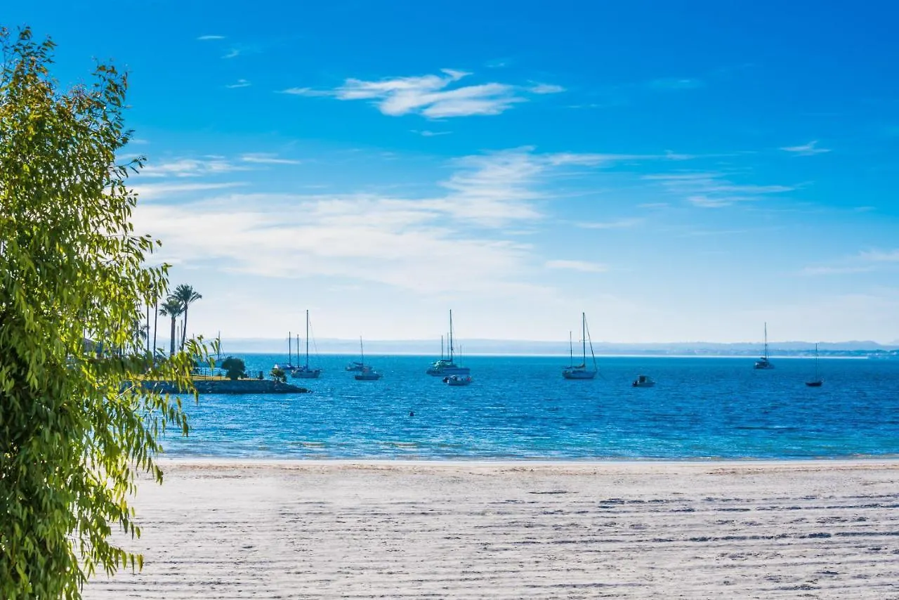 Lägenhet Ideal Property Mallorca - Mimosa Port de Alcudia